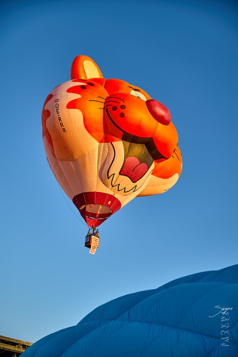 Philippine International Hot Air Balloon Fiesta: Rekindling the Magic of  Flight | The Beauty of the Philippines by Mariano Sayno